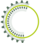 CIRCULO SEI 